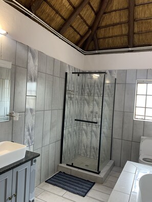Hair dryer, bidet, towels, toilet paper