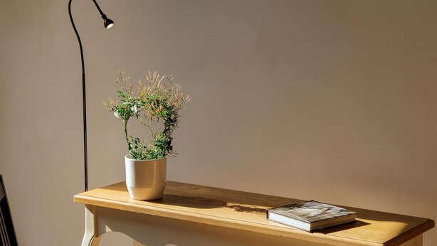 A wooden desk with a white vase containing a plant, a book, and a black desk lamp. - Family interconnected suite (BERGAMO)