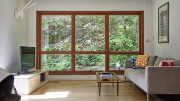 Smart TV, fireplace