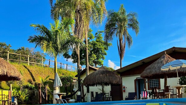 A swimming pool with clear water, surrounded by palm trees and a thatched-roof building. - Pousada Pé da Serra  (Lindoia)