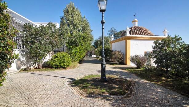 Ein Kopfsteinpflasterweg, eine Straßenlaterne und ein Gebäude mit einer Kuppel und einem Glockenturm.