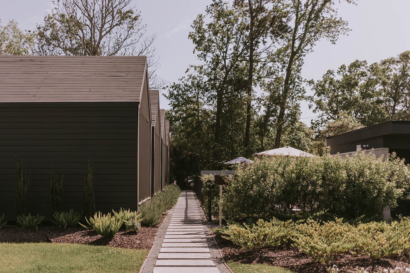 A pathway leading to a modern building with a flat roof and a series of windows.
