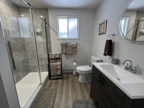 Shower, hair dryer, towels, soap