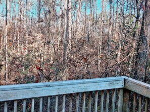Property grounds - Located close to shops & restaurants, near the Corning Optical Comm Building (Charlotte)
