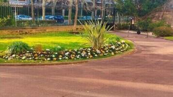 Área da propriedade