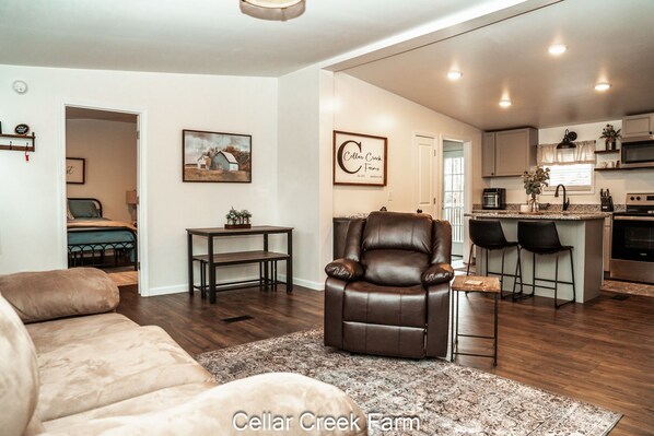 Smart TV, fireplace, books, stereo