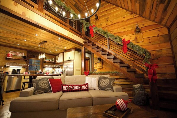 TV, fireplace, ping pong, books