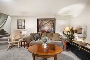 TV, books, computer monitors - Adventures at Angel's Landing await you! Apartment in large mountain home for 3. (Idaho Springs)