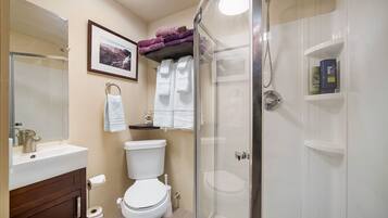 Shower, hair dryer, towels, soap