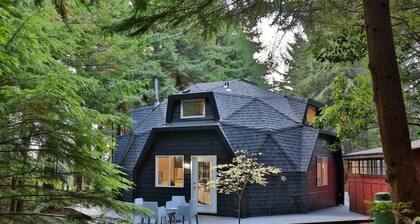Hidden Dome Retreat in the Trees