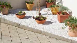 A variety of potted plants arranged on a gravel surface, with a concrete curb and a wall in the background. - Bernarda by Interhome (Krk/Kornić)