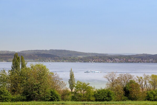 A lake with a boat, trees, and a distant town.