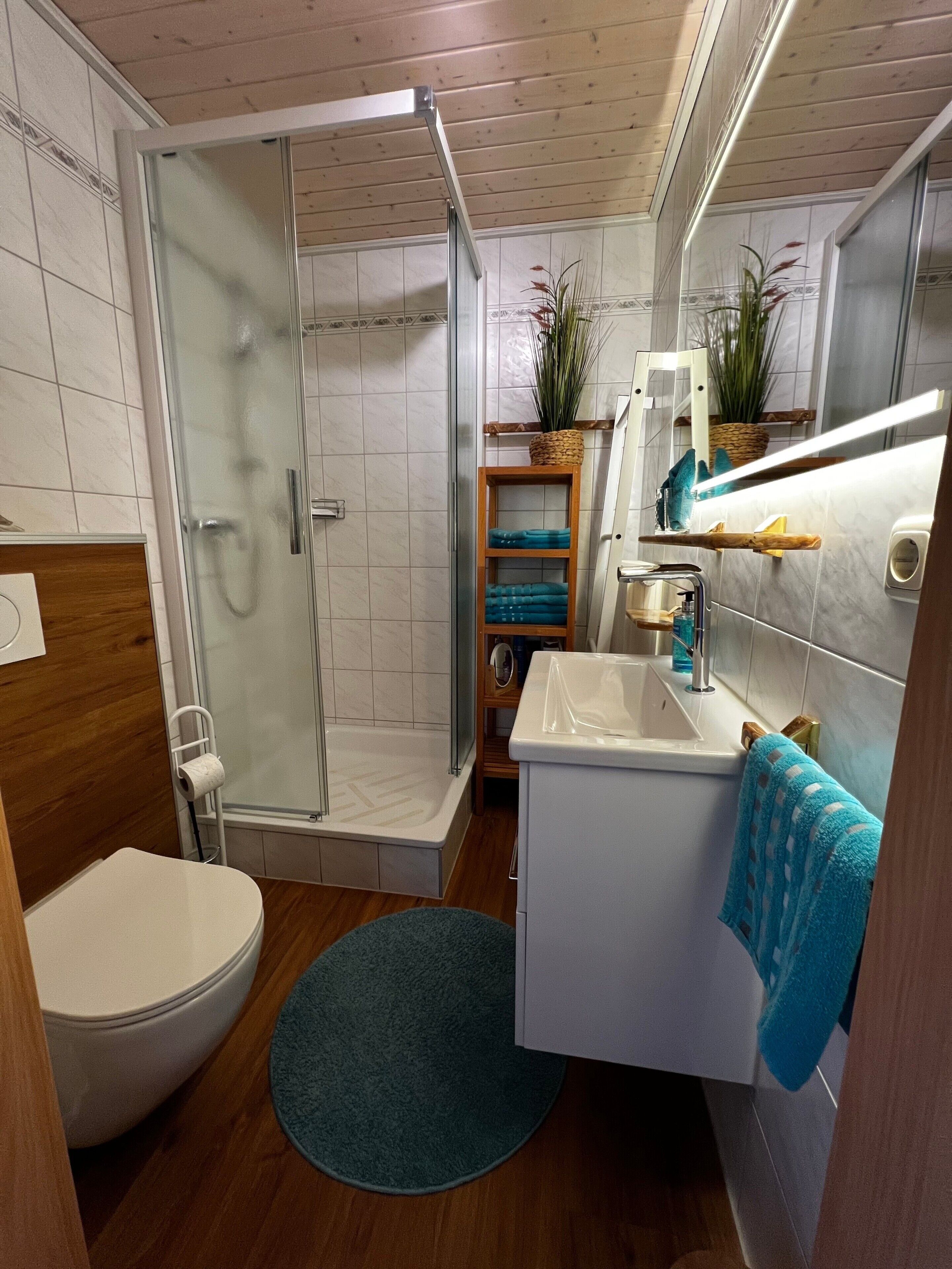 Shower, hair dryer, towels