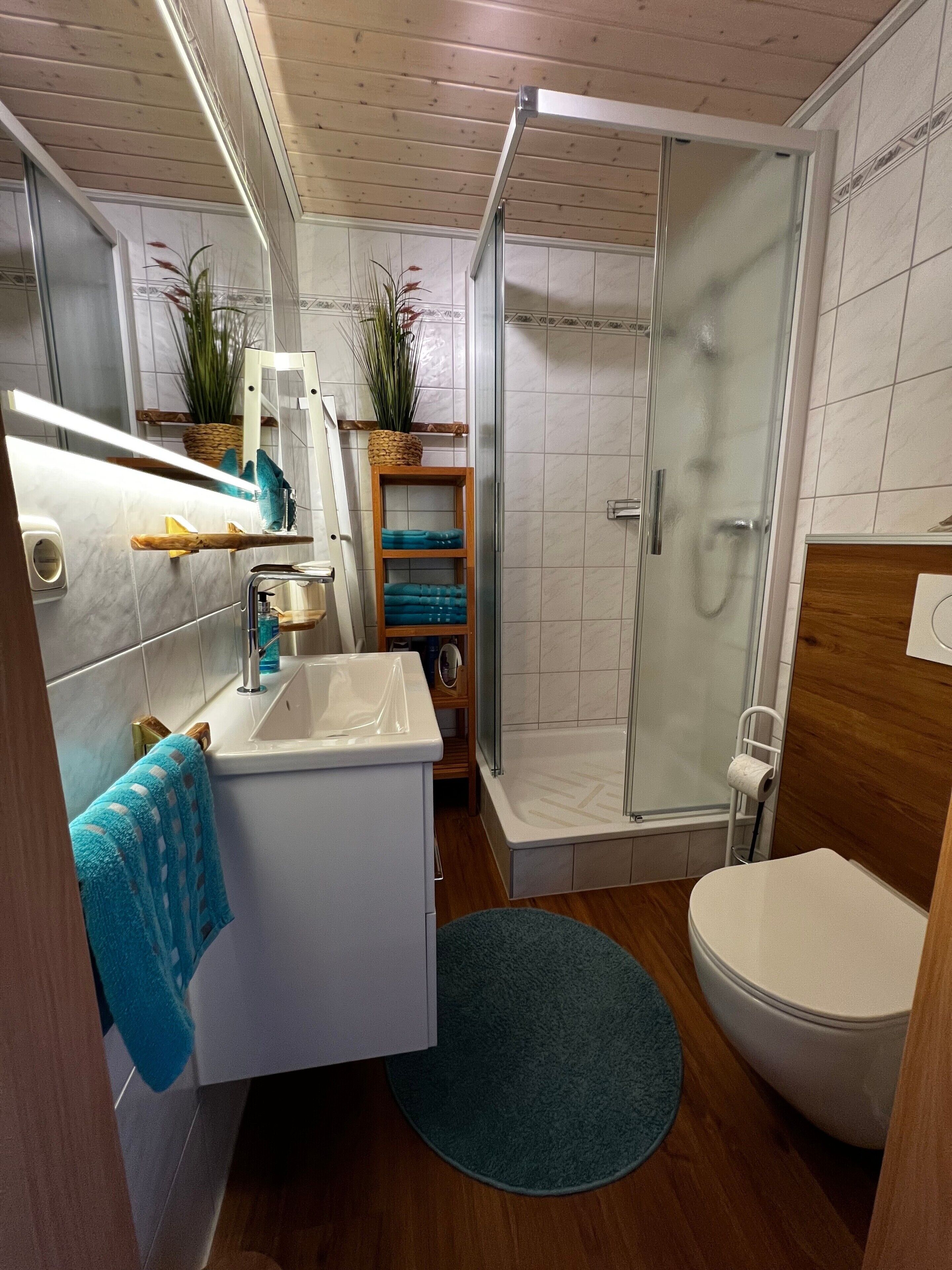 Shower, free toiletries, hair dryer, towels