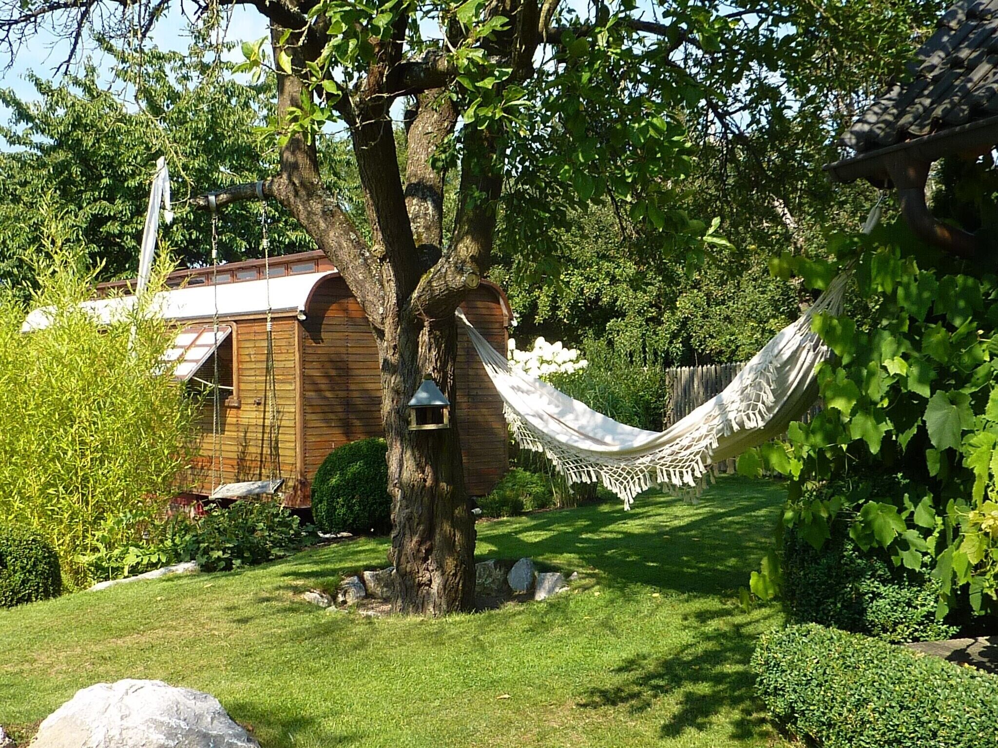 A hammock tied to a tree, a wooden shed, and a well-maintained lawn.
