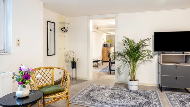 A modern living room with a flat-screen TV, a dining area with a chair, a potted plant, and a large rug. - Apartment 'Gemütliche Unterkunft' with Private Terrace, Private Garden and Wi-Fi (Quickborn)