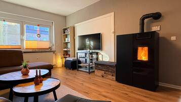 Fernseher, Kamin