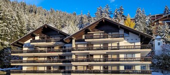 Mandarin B 19 by Interhome