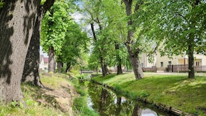 Una vía fluvial tranquila bordeada por árboles y un edificio al fondo.