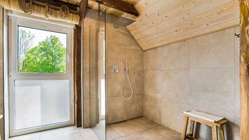Shower, hair dryer, towels