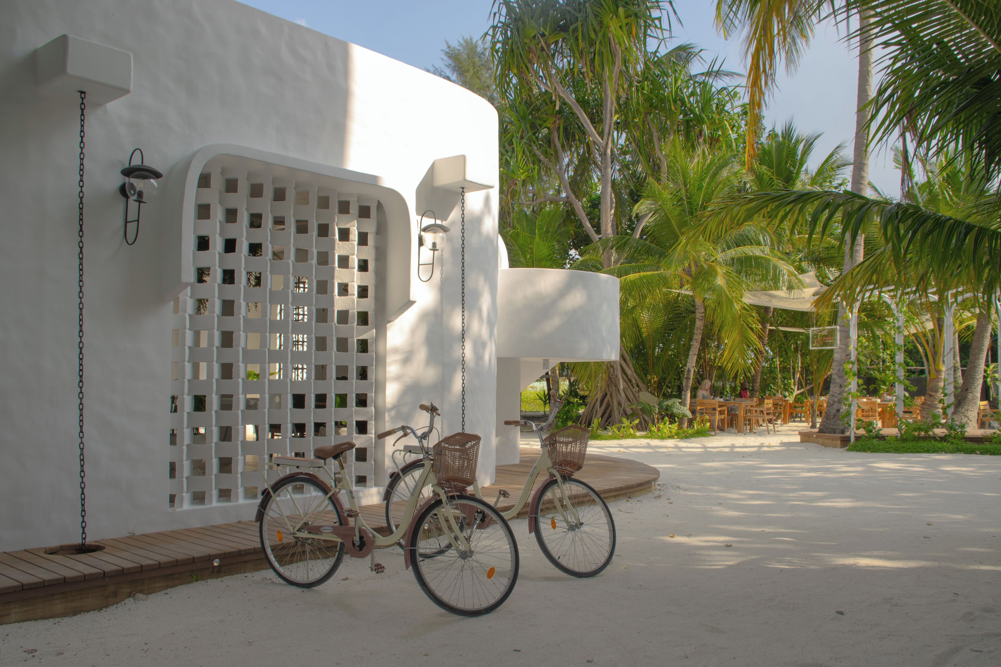 A white building with a lattice window, a bicycle with a basket, and a palm tree in the background.