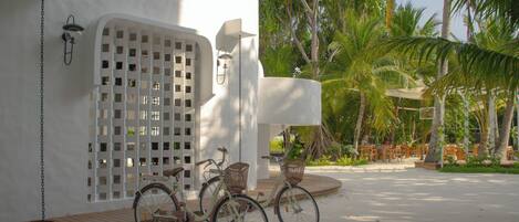 A white building with a lattice window, a bicycle with a basket, and a palm tree in the background.