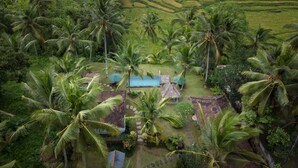 A tropical resort with a pool, palm trees, and terraced fields in the background. - Green Sari Private Villa (Ubud)