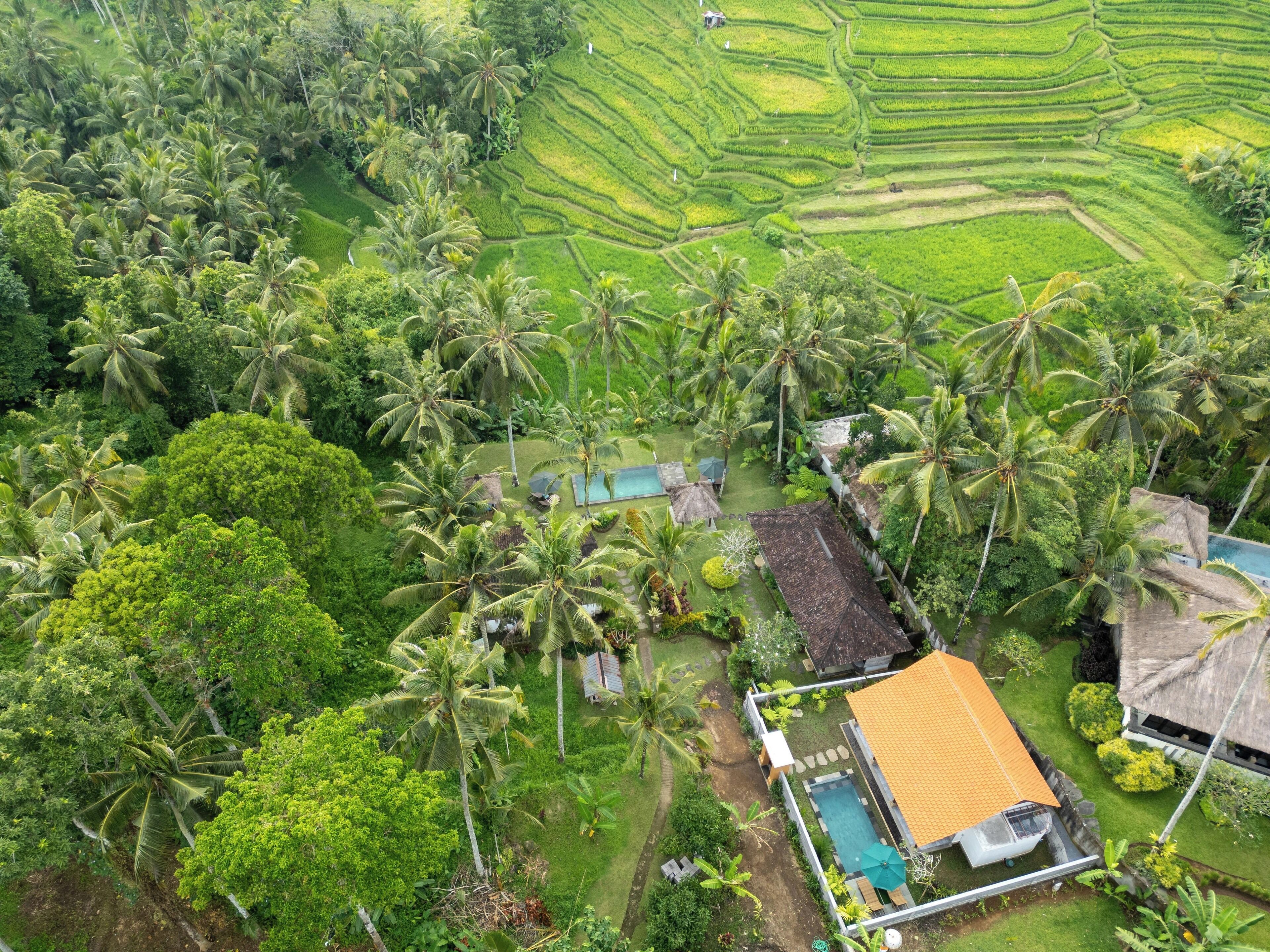 Cảnh từ trên cao