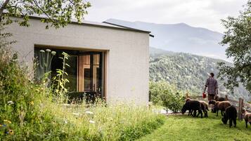 Parco della struttura