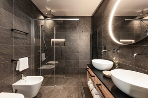 Shower, hair dryer, towels