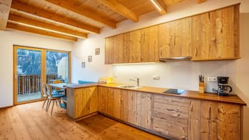 Kühlschrank, Mikrowelle, Herdplatte, Geschirrspüler