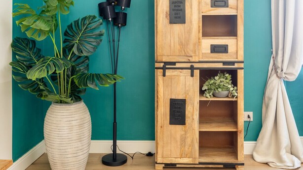 A teal-walled room with a wooden cabinet, a large potted plant, and a floor lamp. - Milo Apt - Trastevere's Gem (Roma)