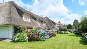 A row of thatched-roof cottages with a well-maintained garden and a clear sky.