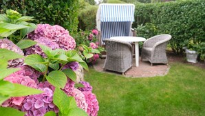 A garden with a seating area, including a table and two chairs, surrounded by lush greenery and pink hydrangea flowers.