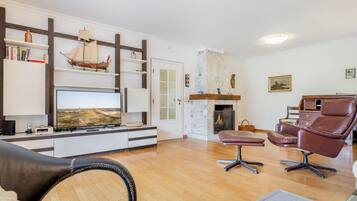 TV, lettore DVD, tavolo da ping pong, impianto stereo