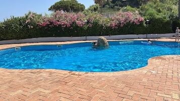 Alberca