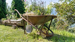 A wheelbarrow with plants and a metal bucket in a grassy area with trees and a log in the background. - Apartment 'Patztauhof Tartscher Bühel' with Mountain View, Private Terrace and Wi-Fi (Sluderno BZ)