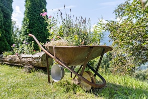 A wheelbarrow with plants and a metal bucket in a grassy area with trees and a log in the background.