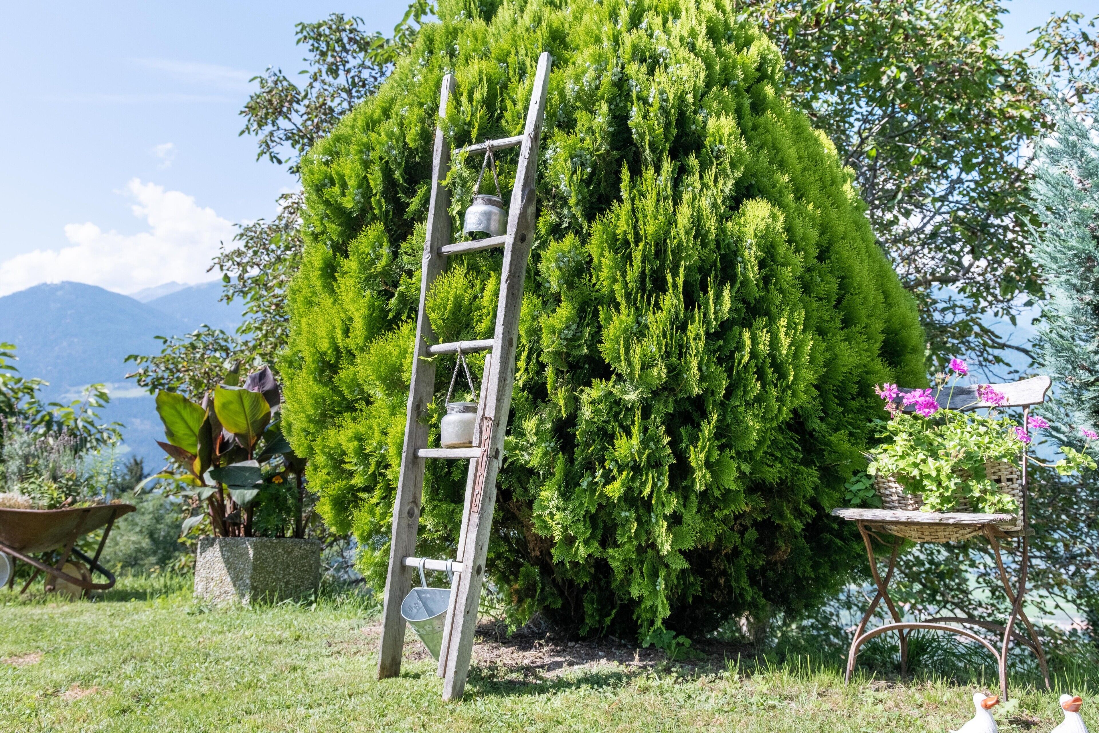 Un jardín con una escalera de madera, una carretilla y una silla.