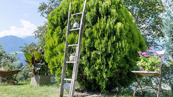 Un jardín con una escalera de madera, una carretilla y una silla.