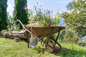Une brouette remplie de plantes et un seau en métal, le tout situé dans un espace herbeux avec des arbres et une bûche en arrière-plan.