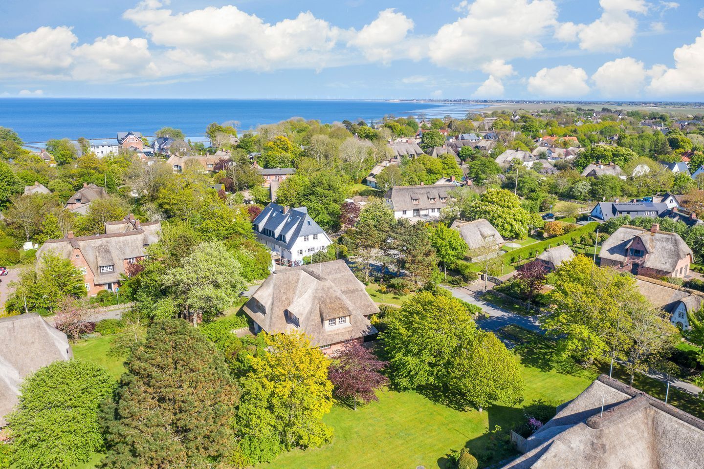 A coastal residential area with houses featuring thatched roofs and lush greenery, overlooking the sea.