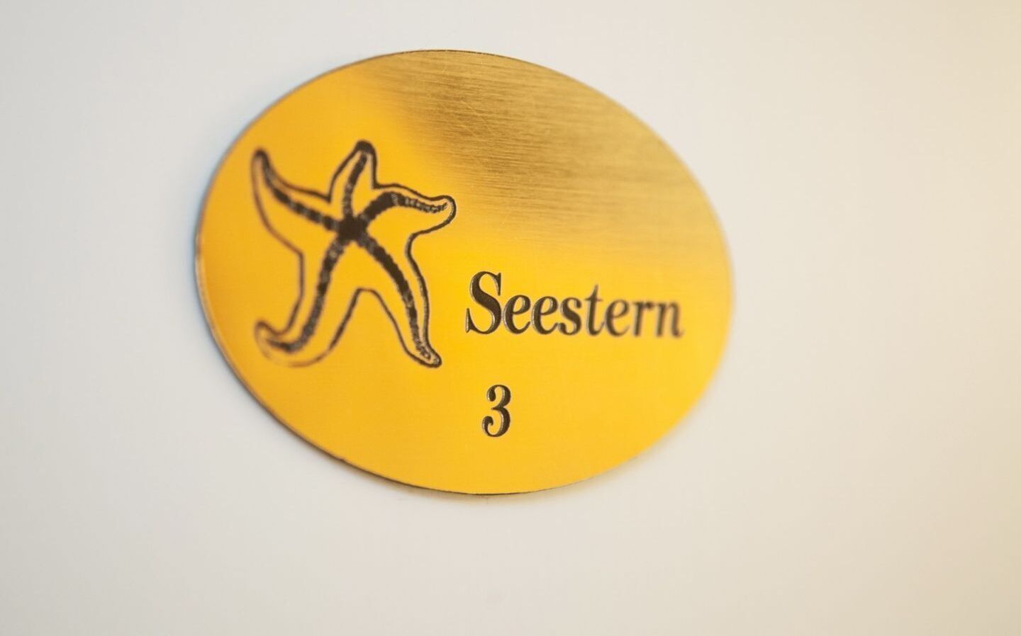 En rund plade med en søstjerne og teksten "Seestern 3".