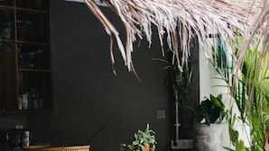 Rivi punottuja baarituoleja betonisella reunuksella, jolla on myös ruukkukasveja, ja niiden yläpuolella on olkikatto.