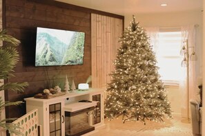 Smart TV, fireplace, table tennis, books