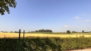 A rural landscape with a field of crops, a hedge, and a distant tree line. - Lovely House in Heers With 2 Bedrooms (Heers)