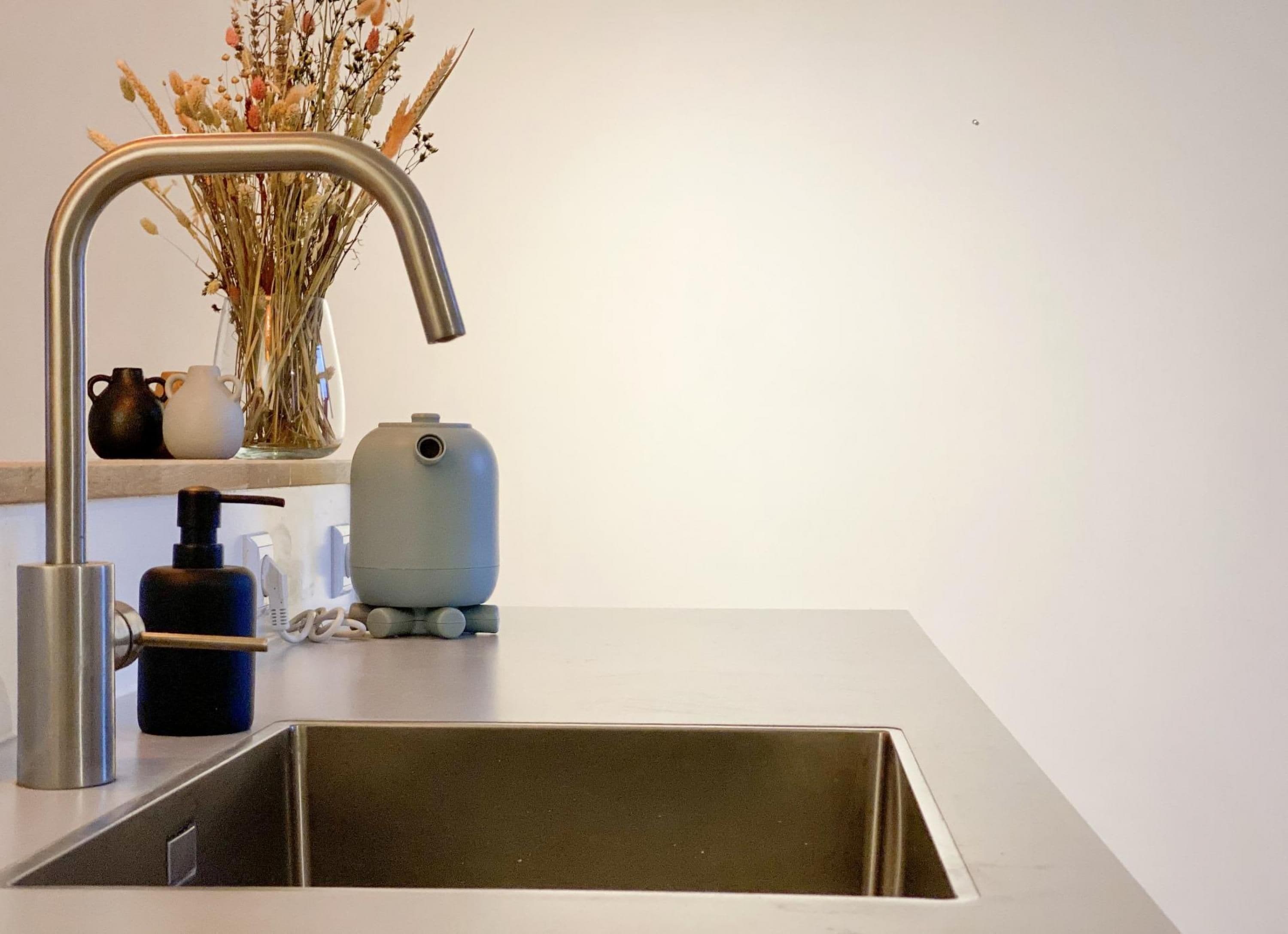 Une cuisine équipée d’un évier en acier inoxydable, d’un robinet, d’un vase contenant des fleurs séchées et d’un distributeur d’eau.