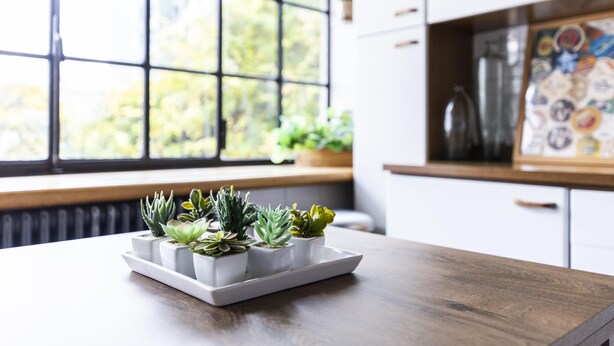 Una cocina con encimera de madera, ventana con vistas a la vegetación y salpicadero de azulejos.