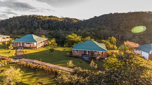 Free WiFi - Eulophiella (Andasibe)