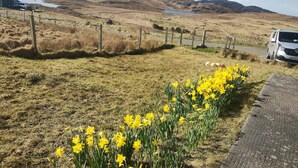 A rural landscape with a field of yellow flowers, a fence, and a white vehicle parked on a road. - 27 Garenin (Isle of Lewis)